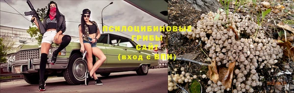 наркотики Богданович
